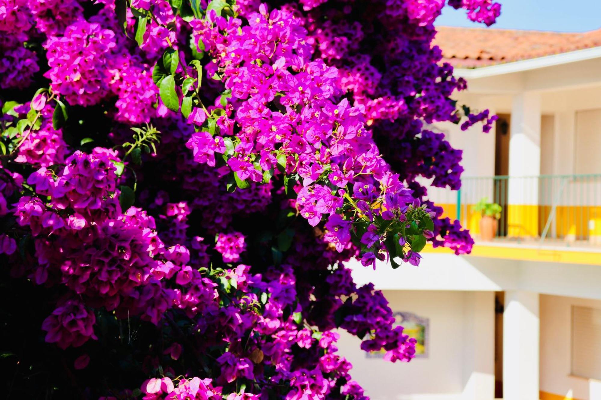 Costa Brava Alojamento Benedita Exterior foto